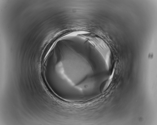 X0000098190002200805081058
