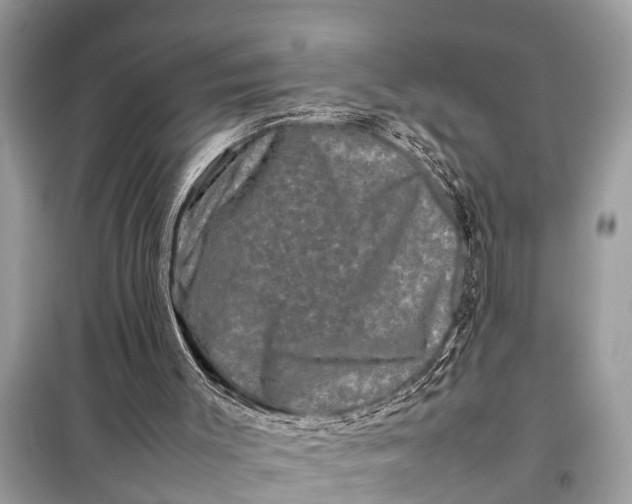 X0000098190003200805081058