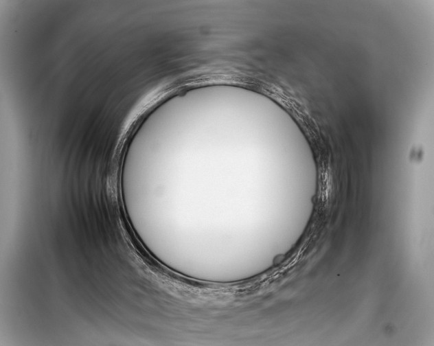 X0000098190004200805081058