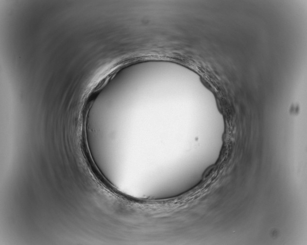 X0000098190005200805081058