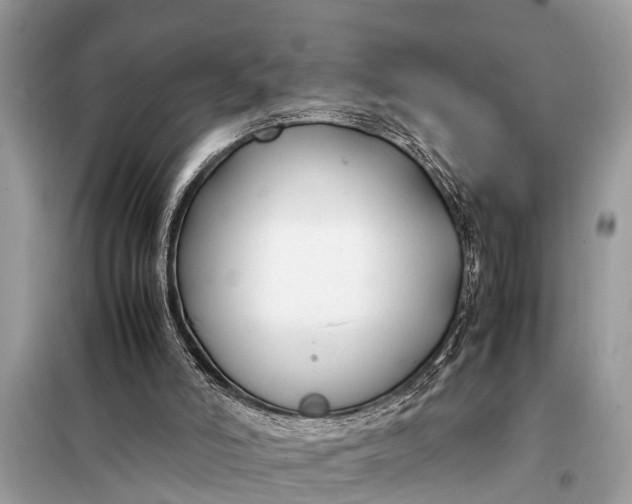 X0000098190006200805081058