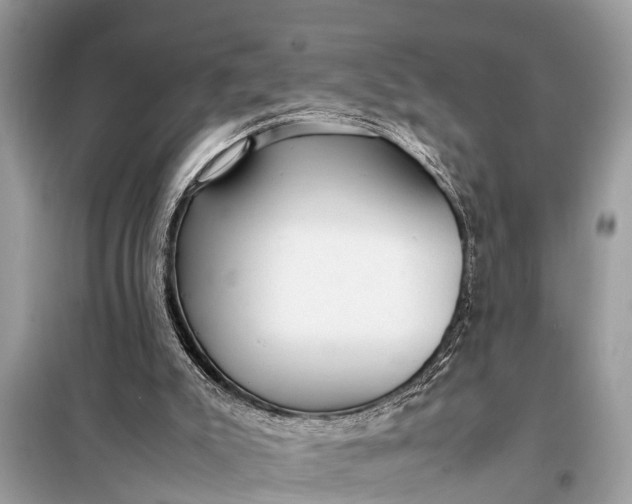 X0000098190007200805081058