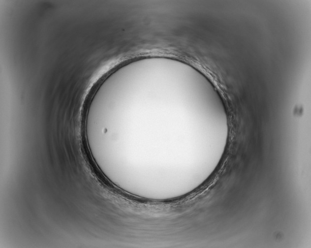 X0000098190008200805081058