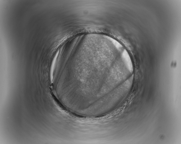 X0000098190009200805081058