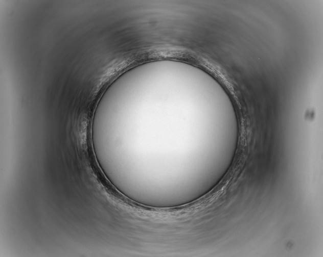 X0000098190010200805081058