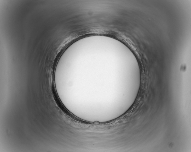 X0000098190011200805081058