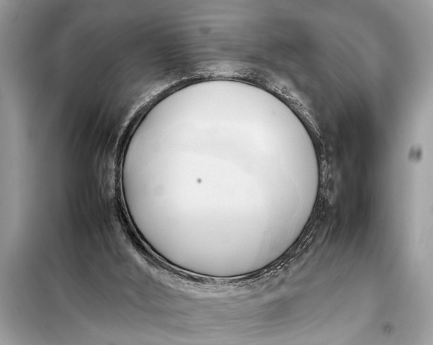 X0000098190012200805081058