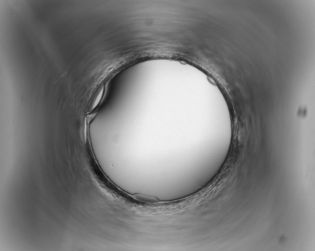 X0000098190013200805081058