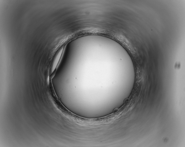 X0000098190014200805081058
