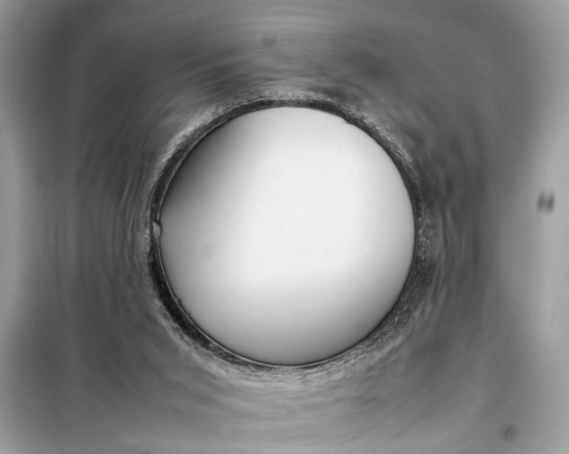 X0000098190015200805081058