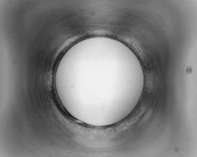 X0000098190016200805081058