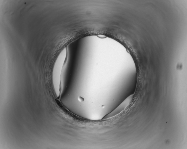 X0000098190017200805081058