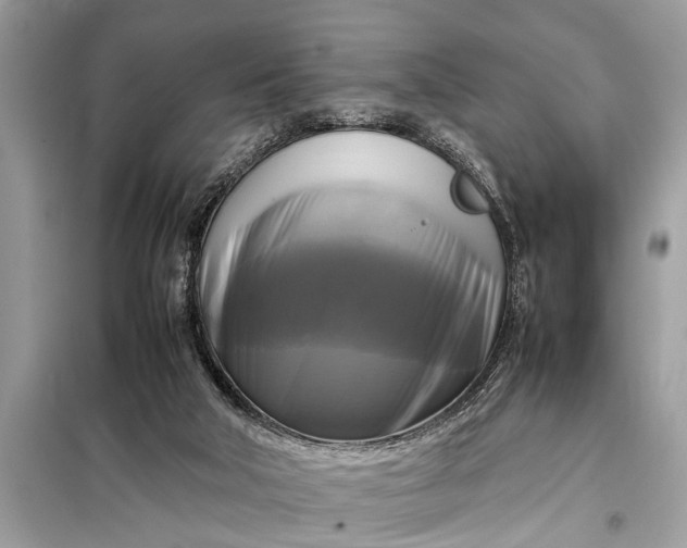 X0000098190018200805081058