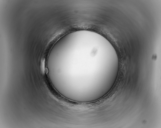 X0000098190020200805081058