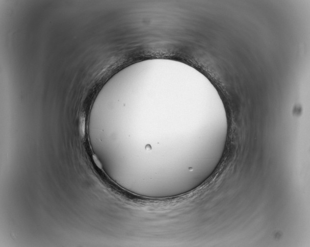 X0000098190021200805081058