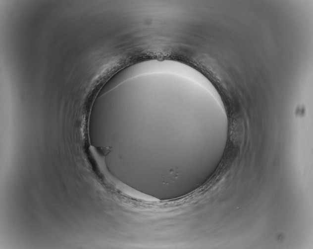 X0000098190023200805081058