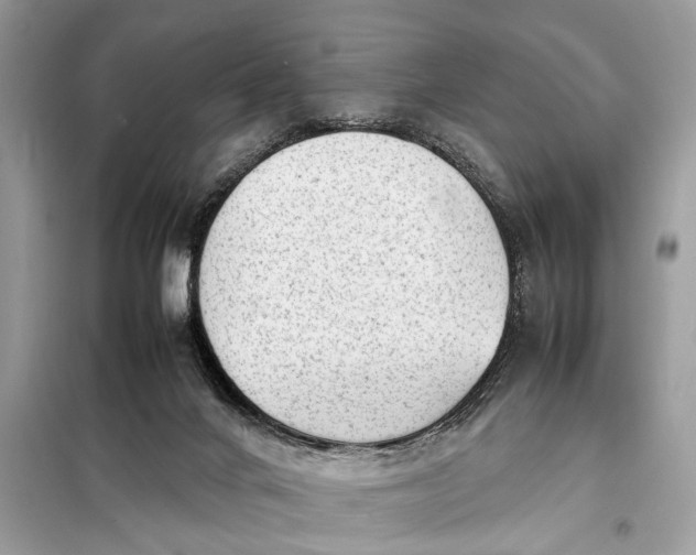 X0000098190024200805081058