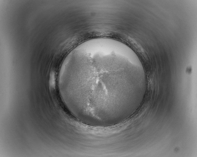 X0000098190026200805081058