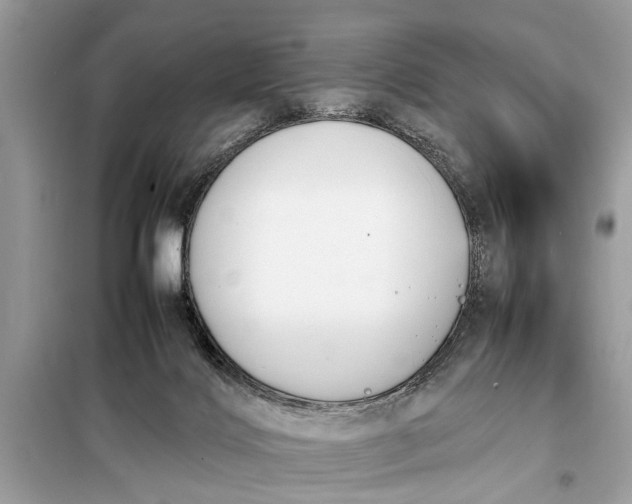X0000098190028200805081058