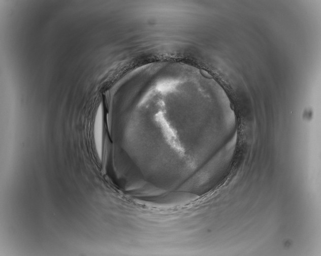 X0000098190029200805081058