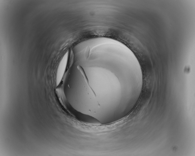 X0000098190031200805081058