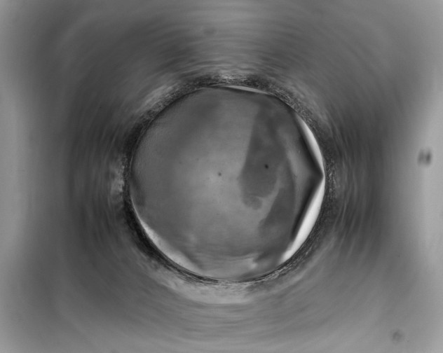 X0000098190032200805081058