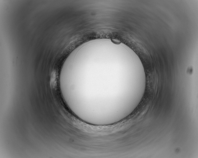 X0000098190038200805081058