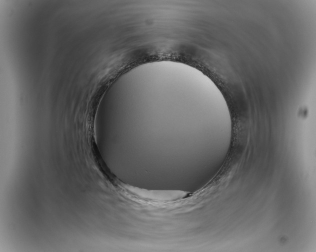X0000098190039200805081058