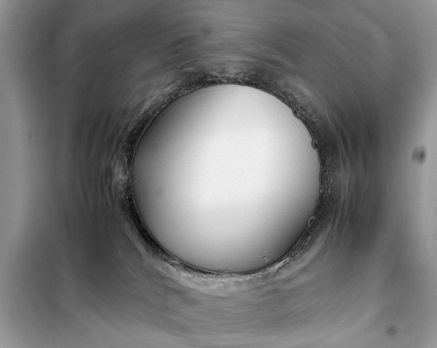 X0000098190040200805081058