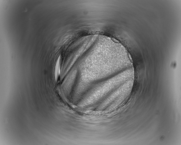 X0000098190041200805081058