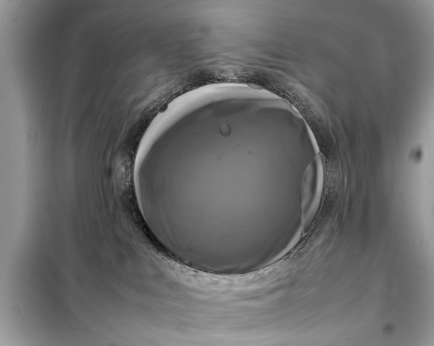X0000098190043200805081058
