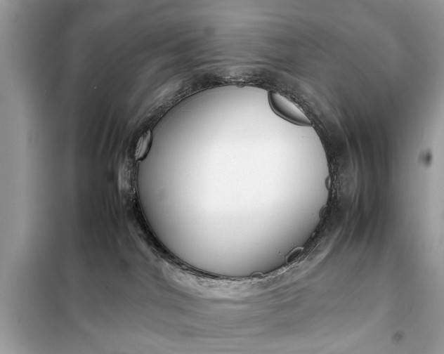 X0000098190044200805081058
