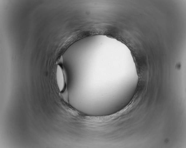 X0000098190045200805081058