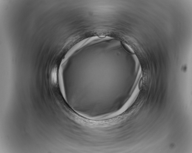 X0000098190046200805081058