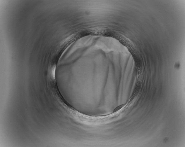 X0000098190047200805081058