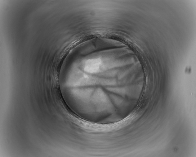 X0000098190048200805081058