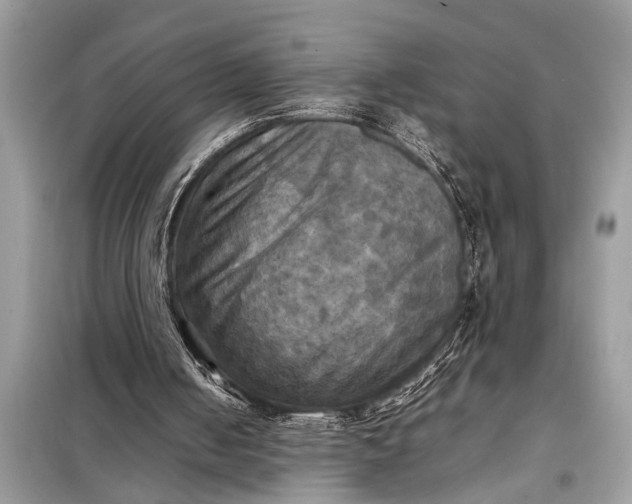 X0000098190050200805081057