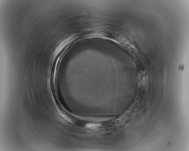 X0000098190051200805081057