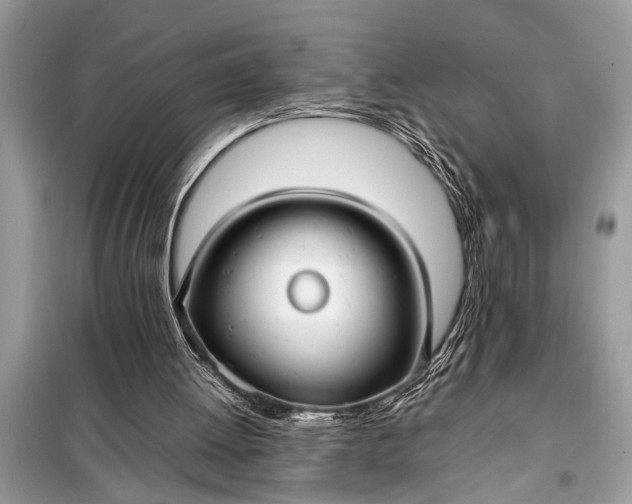 X0000098190052200805081057