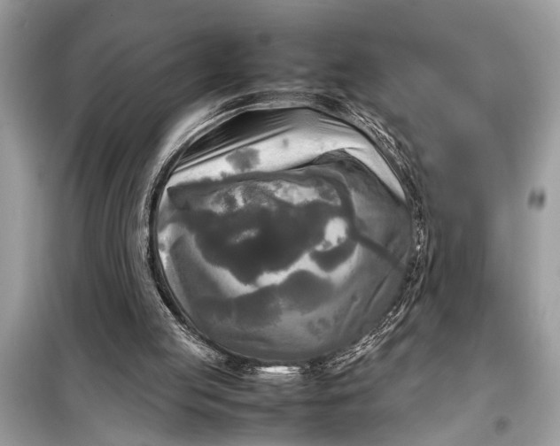 X0000098190053200805081057