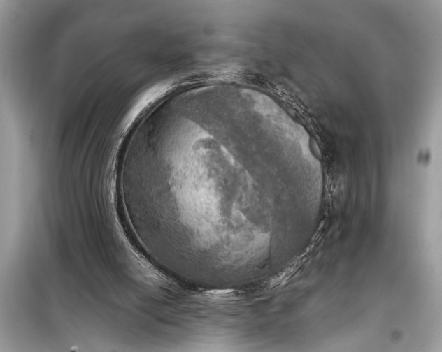 X0000098190054200805081057