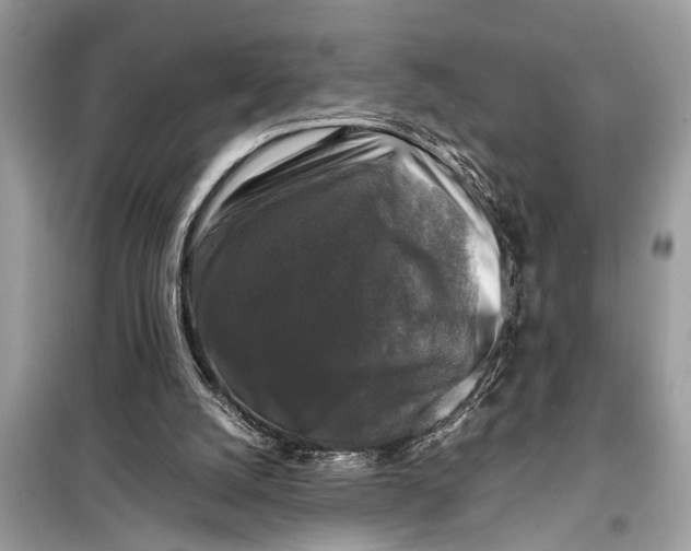 X0000098190056200805081057