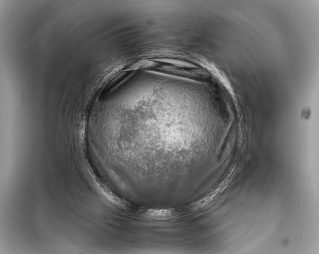 X0000098190057200805081057