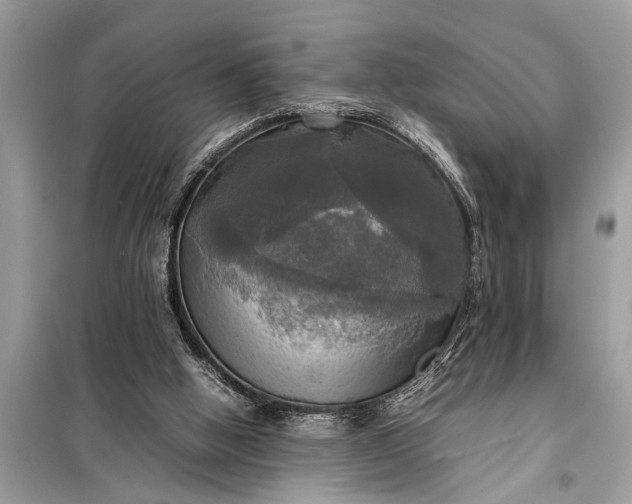 X0000098190058200805081057