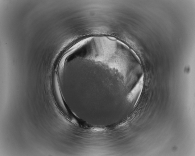 X0000098190060200805081057