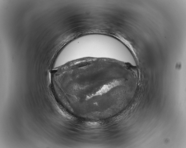 X0000098190061200805081057