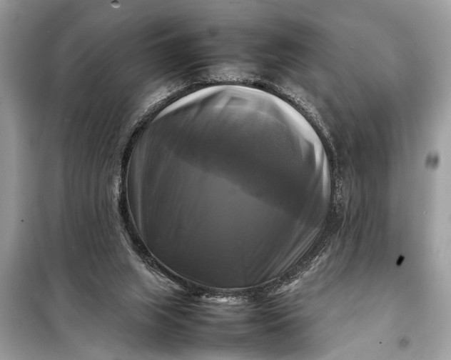 X0000098190063200805081057