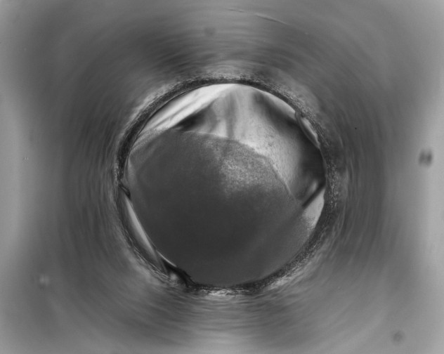 X0000098190064200805081057