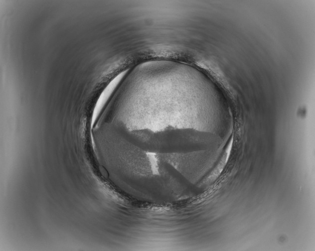 X0000098190066200805081057