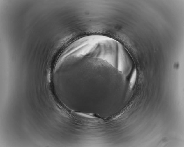 X0000098190068200805081057